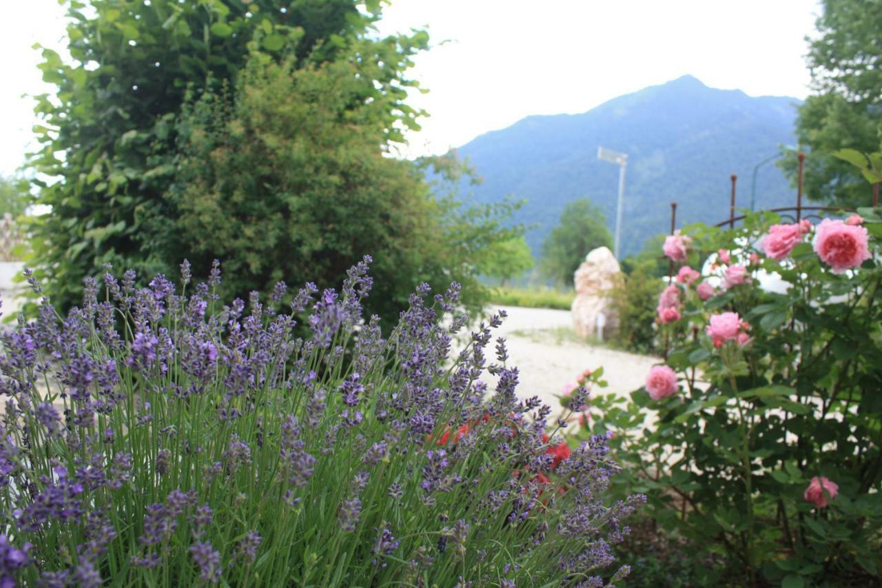 Bed and Breakfast Landlust Ischl Bad Ischl Exterior foto